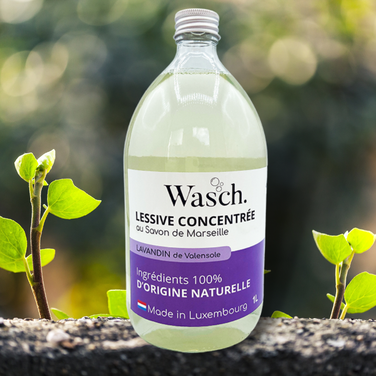 WASCH - WEBSITE PRODUCT PICT (4)